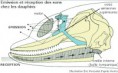 /album/galerie-de-photos-nature-technologie/screenhunter-45-jan-17-17-58-jpg/